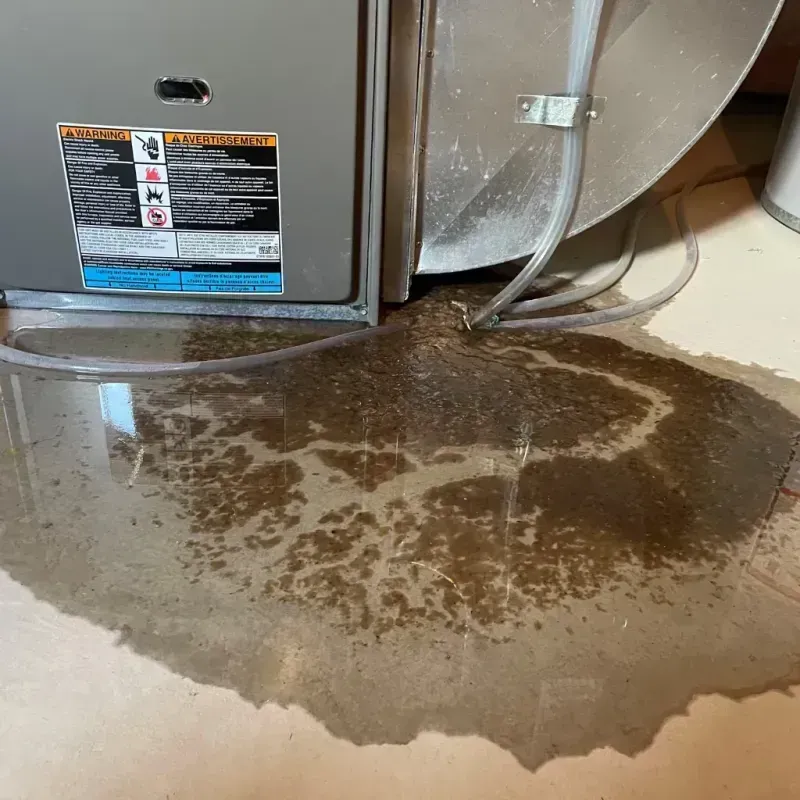 Appliance Leak Cleanup in Pointe Coupee Parish, LA